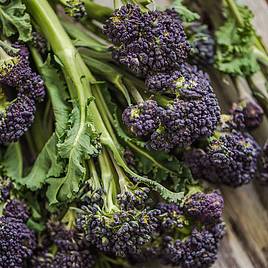 Broccoli Purple Sprouting Continuity Mix - Seeds
